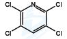 2,3,5,6-Tetrachloropyridine