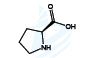 L-Proline