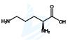 L-Ornithine